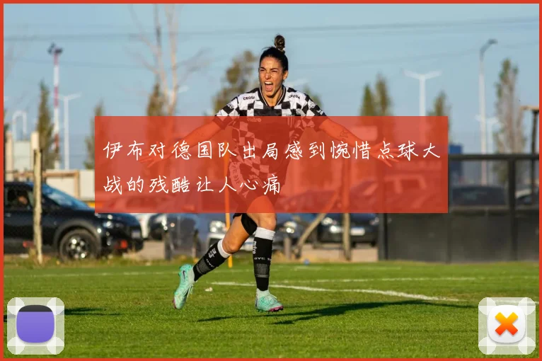 伊布对德国队出局感到惋惜点球大战的残酷让人心痛
