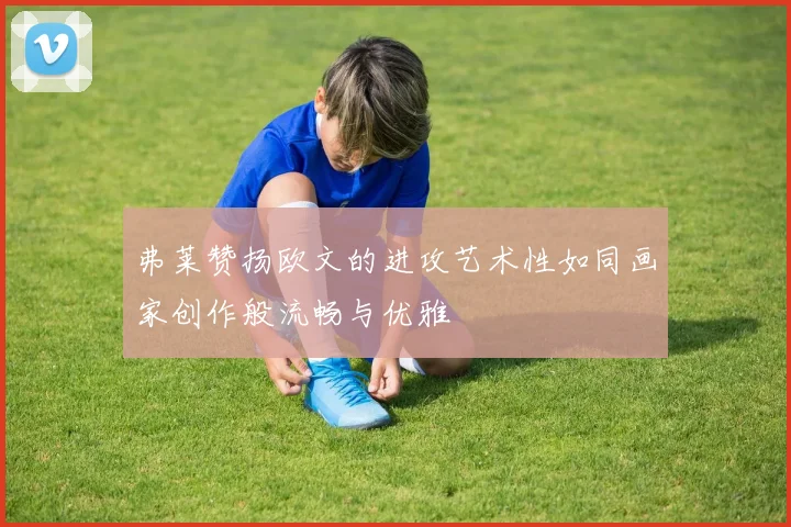 弗莱赞扬欧文的进攻艺术性如同画家创作般流畅与优雅