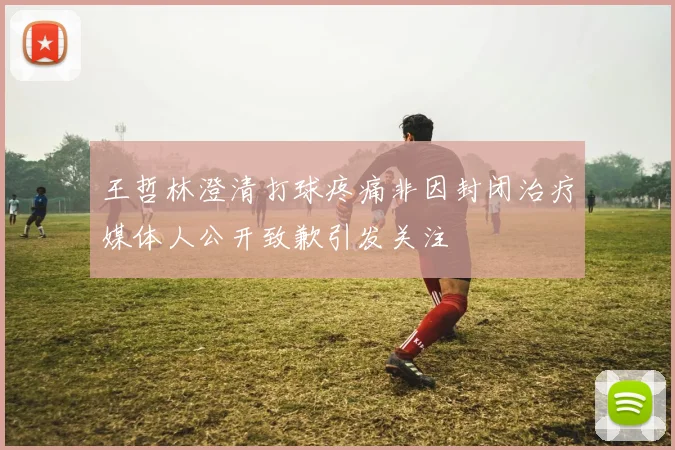 王哲林澄清打球疼痛非因封闭治疗媒体人公开致歉引发关注
